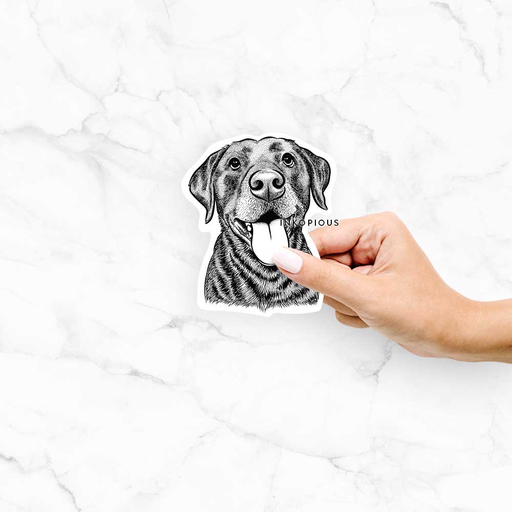Hand-drawn sketch of Gwen the Labrador Retriever on a Gwen Lab decal sticker