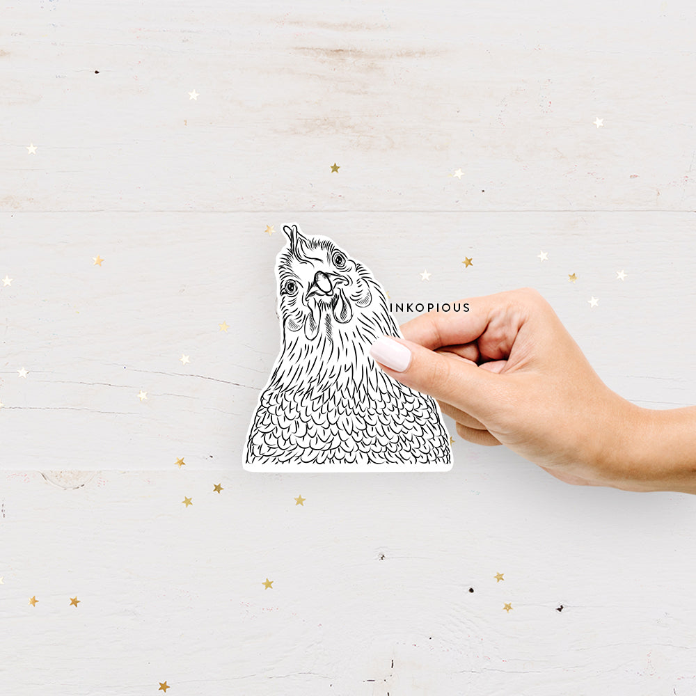 Hand-drawn sketch of Henrietta the Chicken on a decal sticker