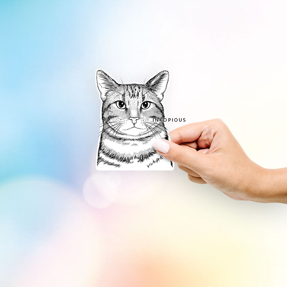 Hand-drawn sketch of Henry the Bengal Cat on a decal sticker