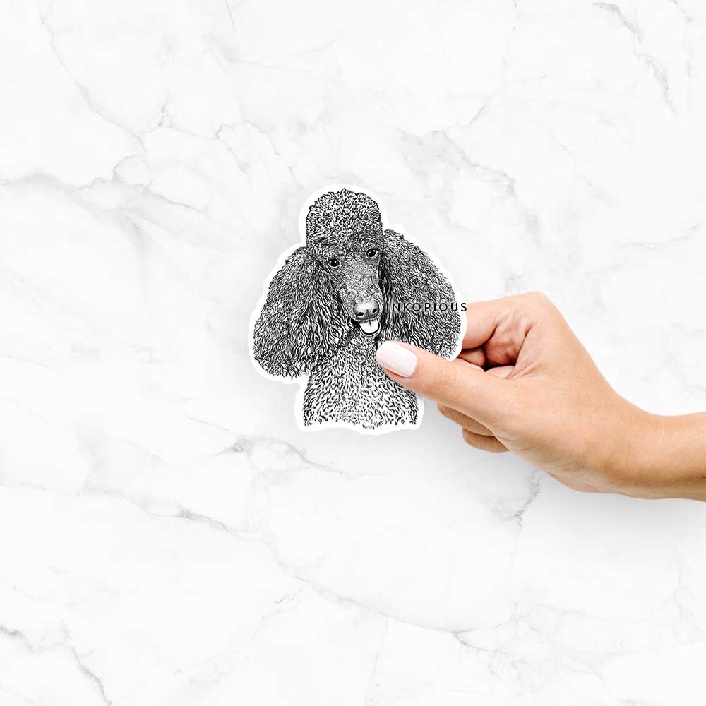 Hand-drawn sketch of Henry the Standard Poodle on a Henry Poodle decal sticker