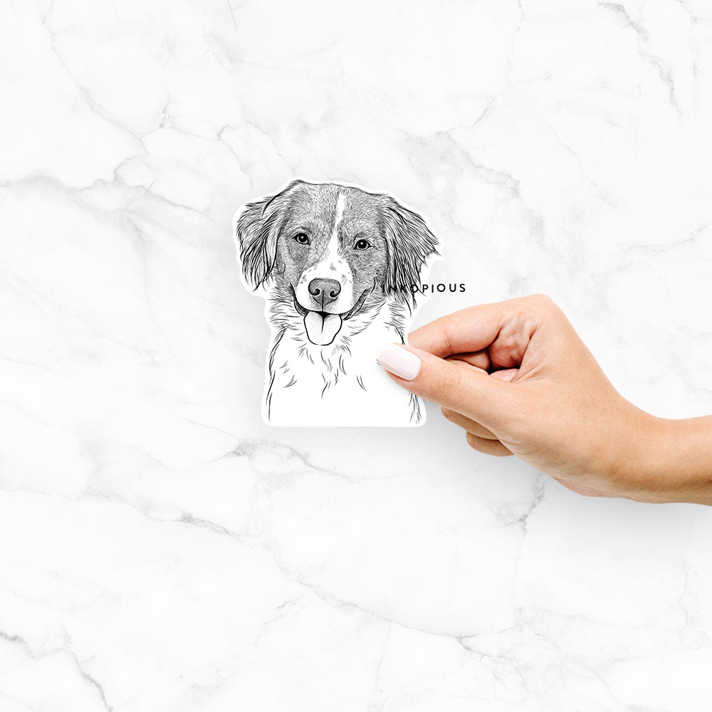Hand-drawn sketch of Hercules the Nederlandse Kooikerhondje on a Hercules Kooiker decal sticker