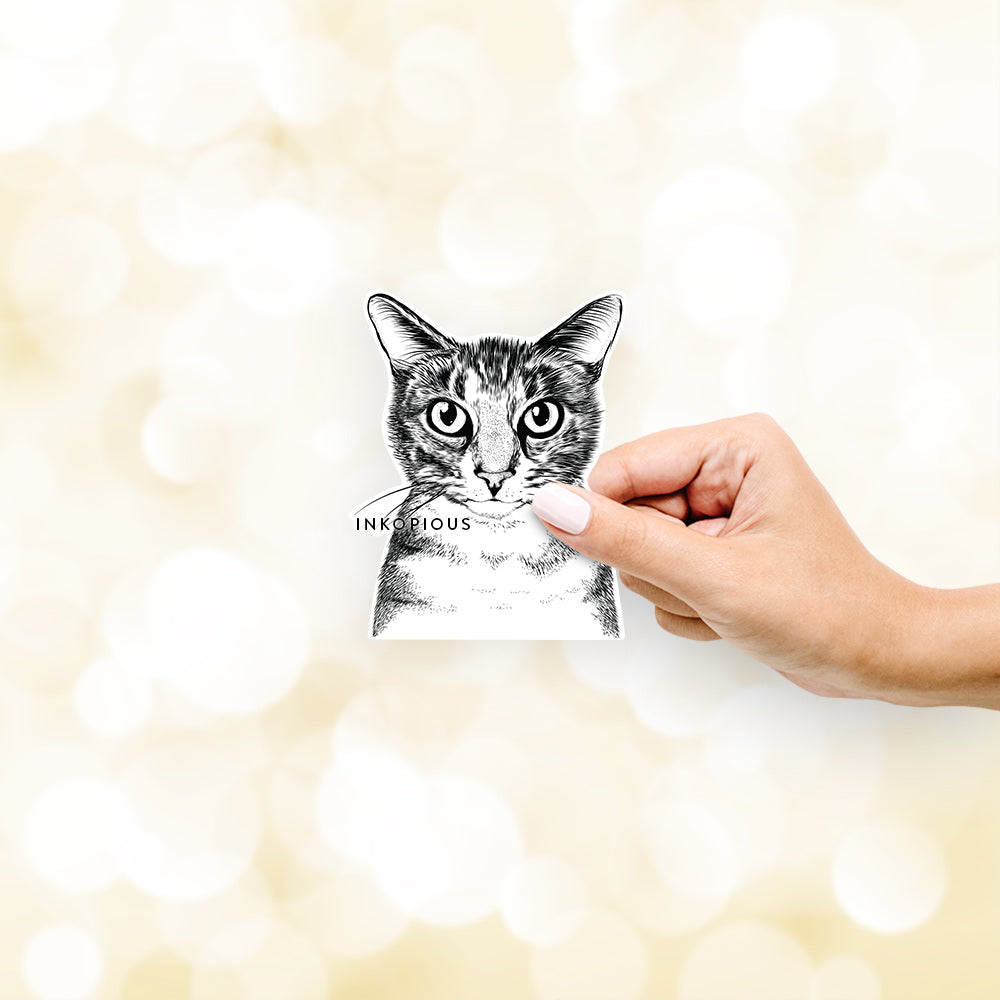 Hand-drawn sketch of Hobbes the Tabby Cat on a decal sticker