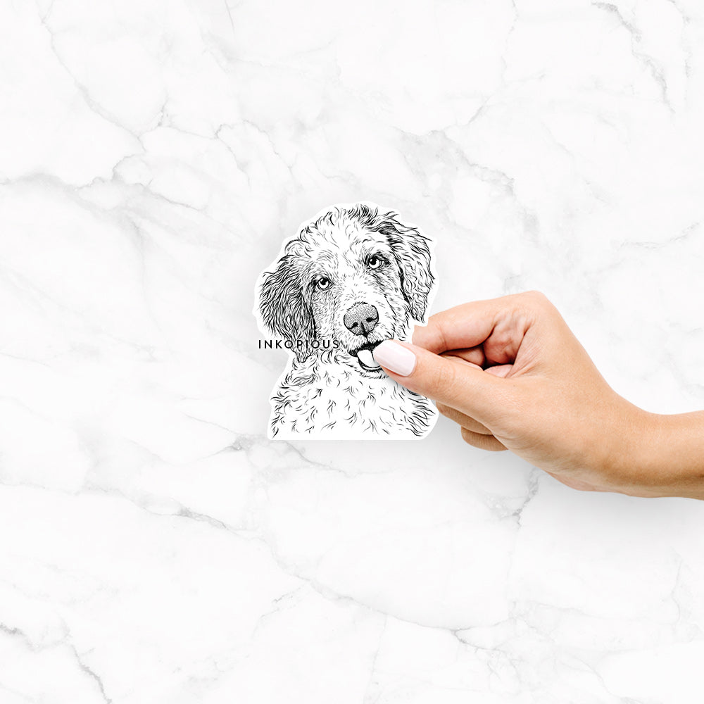 Hand-drawn sketch of Hoge the Aussiedoodle on a decal sticker