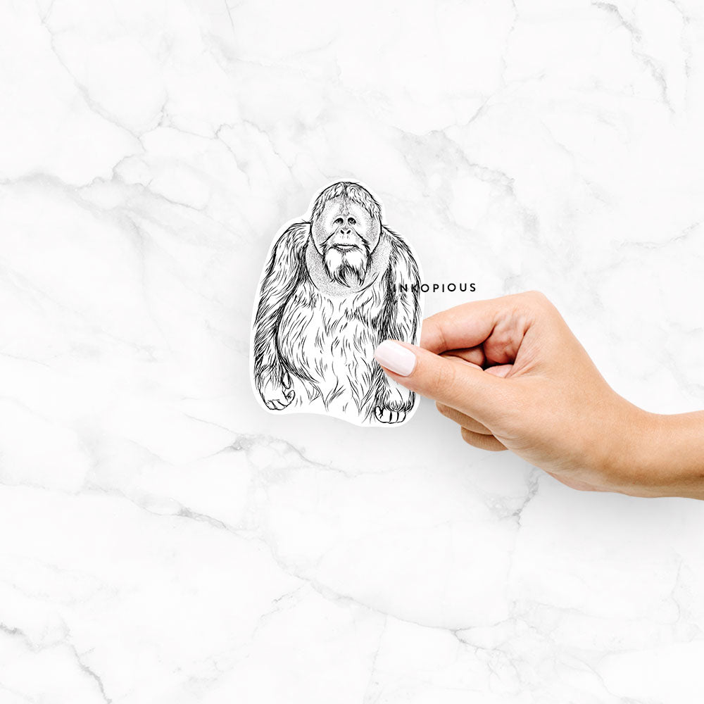 Hand-drawn sketch of Horace the Male Orangutan on a Horace Male Orangutan decal sticker