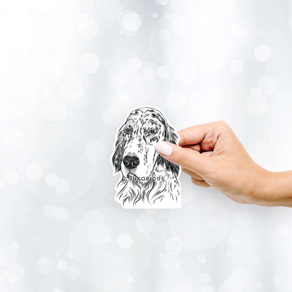 Hand-drawn sketch of Hutch the English Setter on a decal sticker