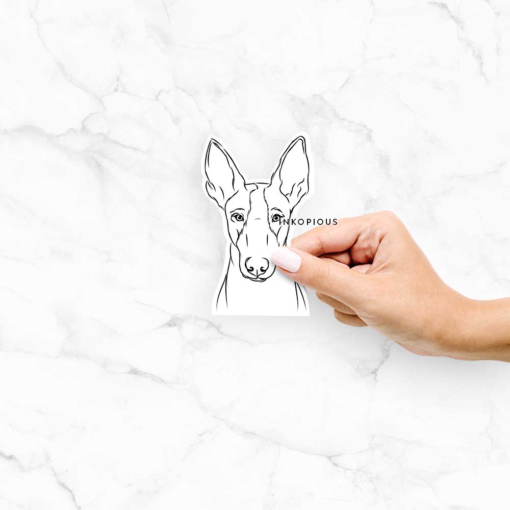 Hand-drawn sketch of Indy the Ibizan Hound on a decal sticker