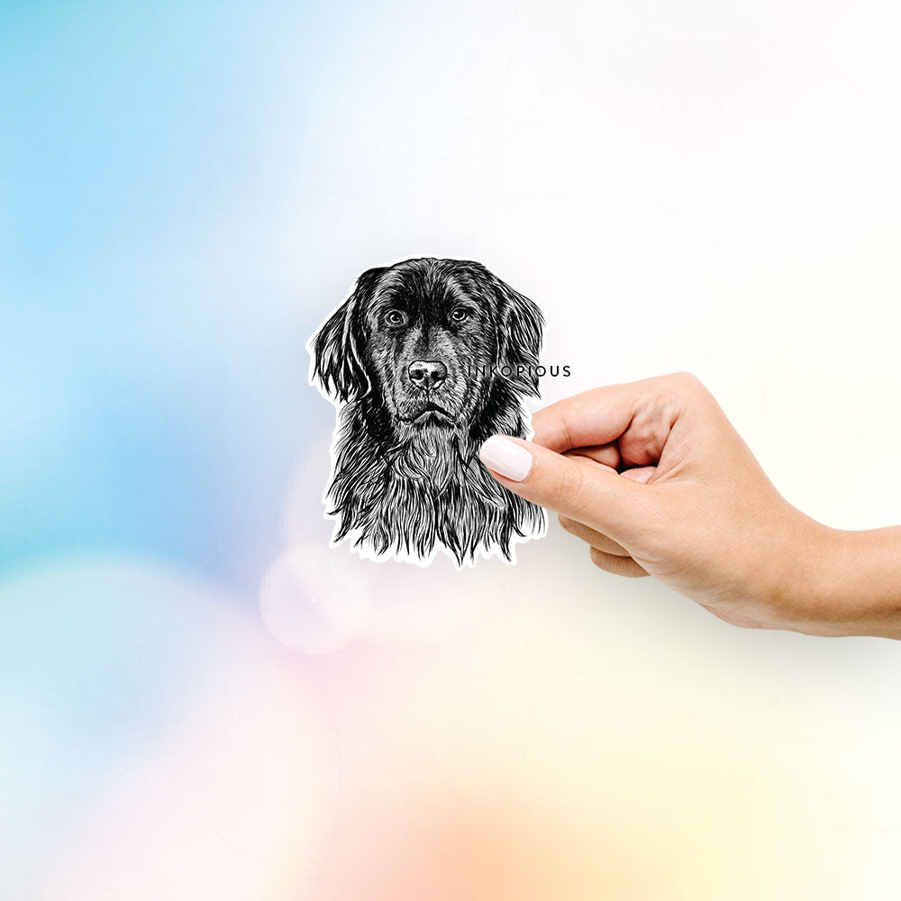 Hand-drawn sketch of Jinx the Newfoundland on a decal sticker