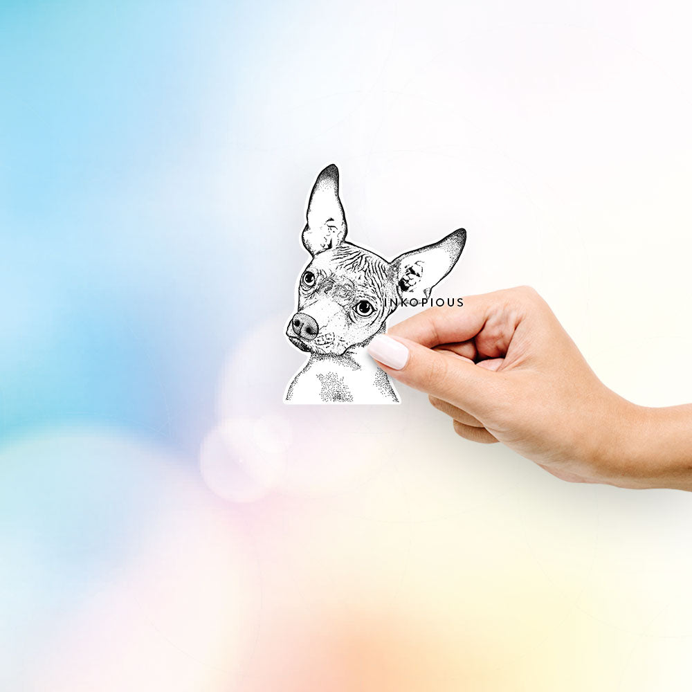 Hand-drawn sketch of Kahlo the Xoloitzcuintli on a decal sticker