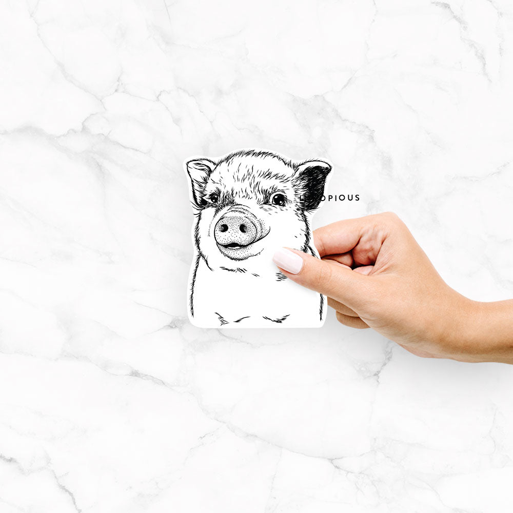 Hand-drawn sketch of Kevin the Spotted Pig on a Kevin Spotted Pig decal sticker