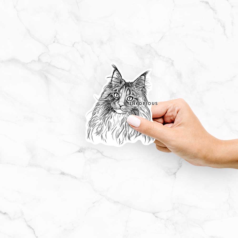 Hand-drawn sketch of Kiki the Maine Coon Cat on a Kiki Maine Coon decal sticker