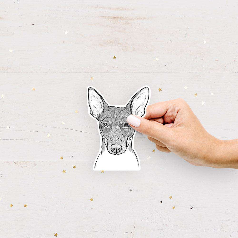 Hand-drawn sketch of Knox the Rat Terrier on a decal sticker