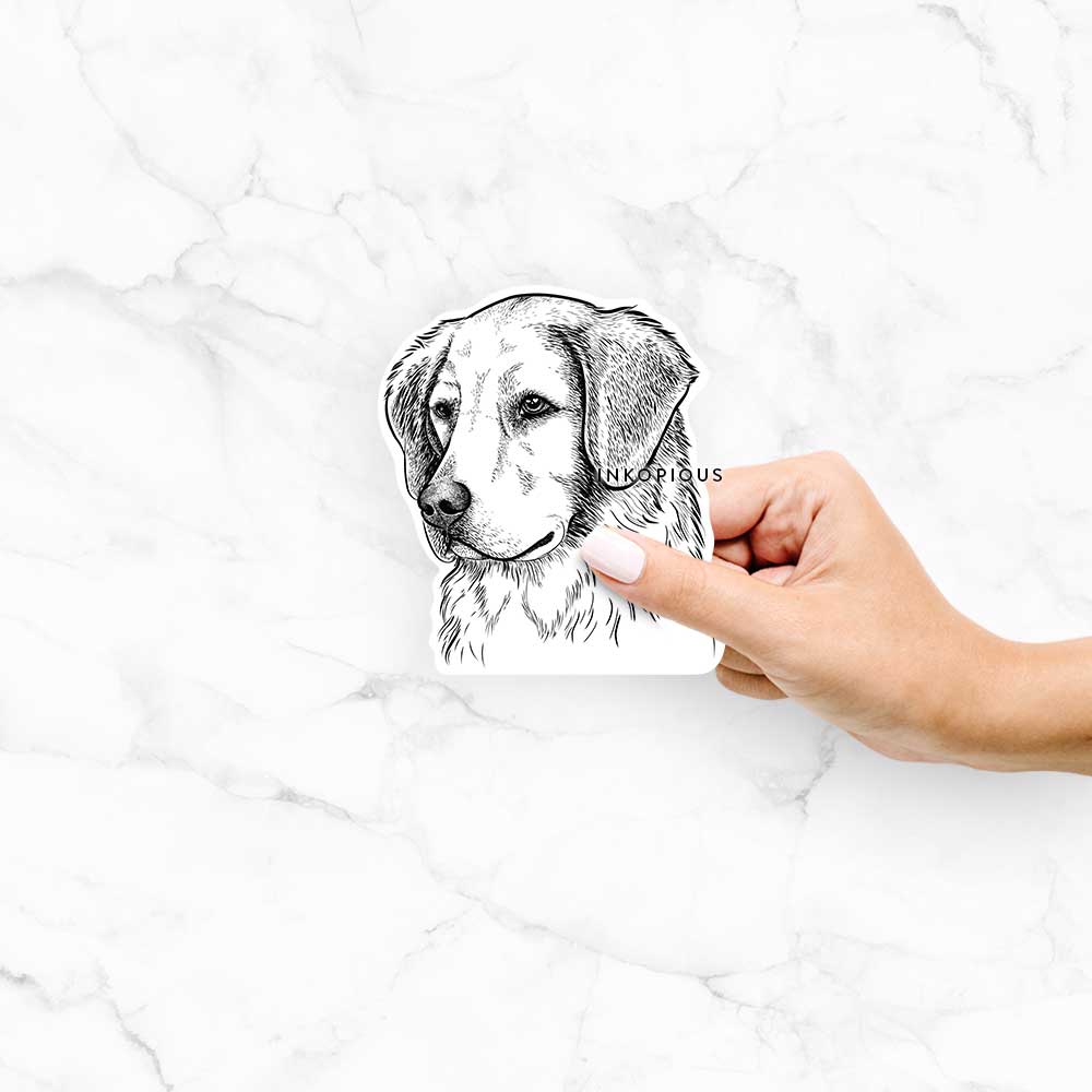 Hand-drawn sketch of Kula the Golden Retriever on a Kula Golden decal sticker