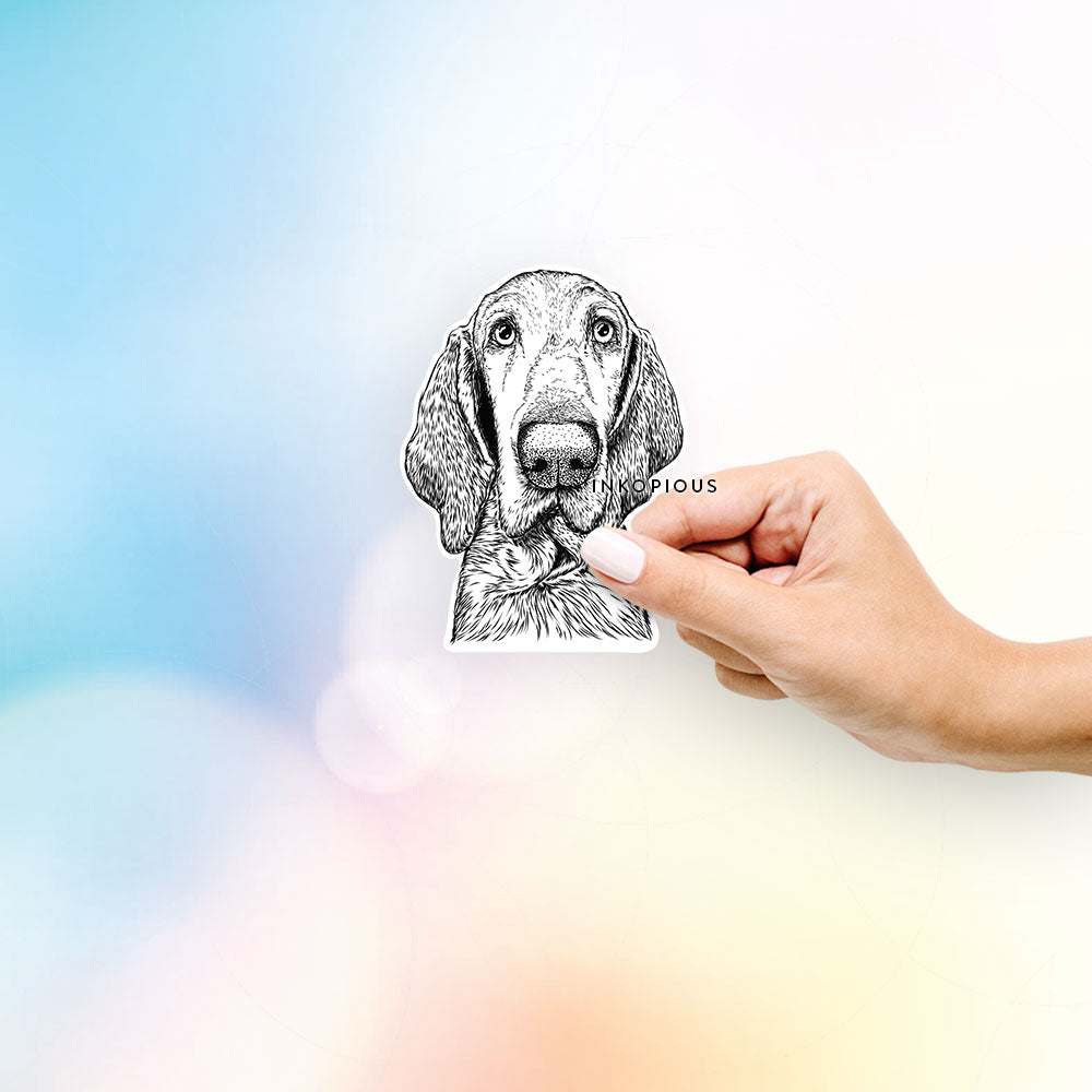 Hand-drawn sketch of Kylie the Bracco Italiano on a decal sticker