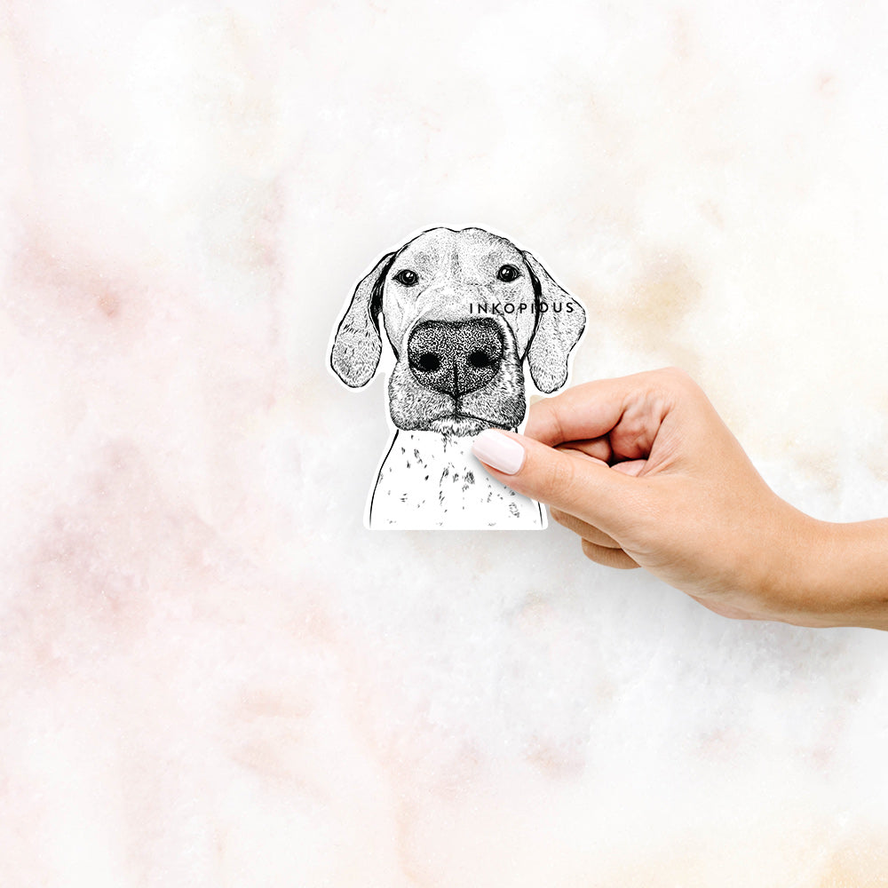 Hand-drawn sketch of Leroy the German Shorthaired Pointer on a decal sticker