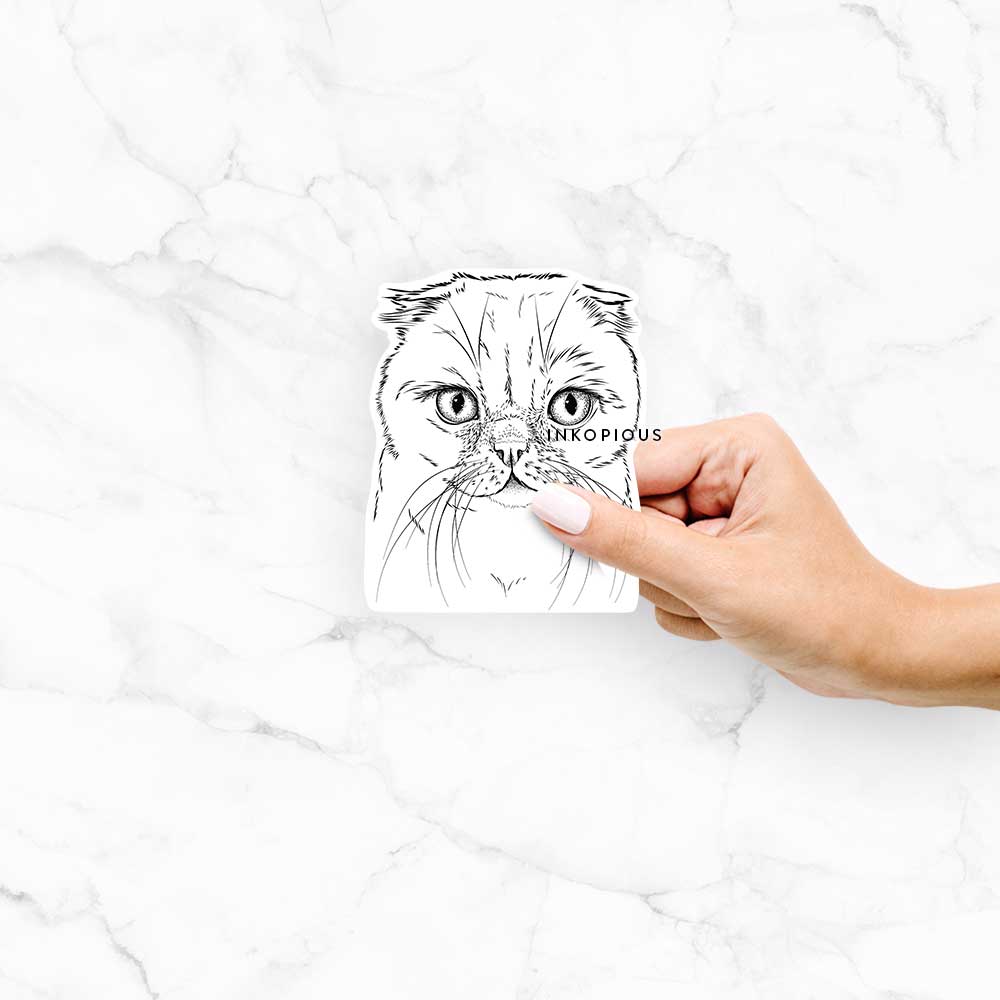Hand-drawn sketch of Lina the Exotic Fold Cat on a Lina Exotic Fold decal sticker