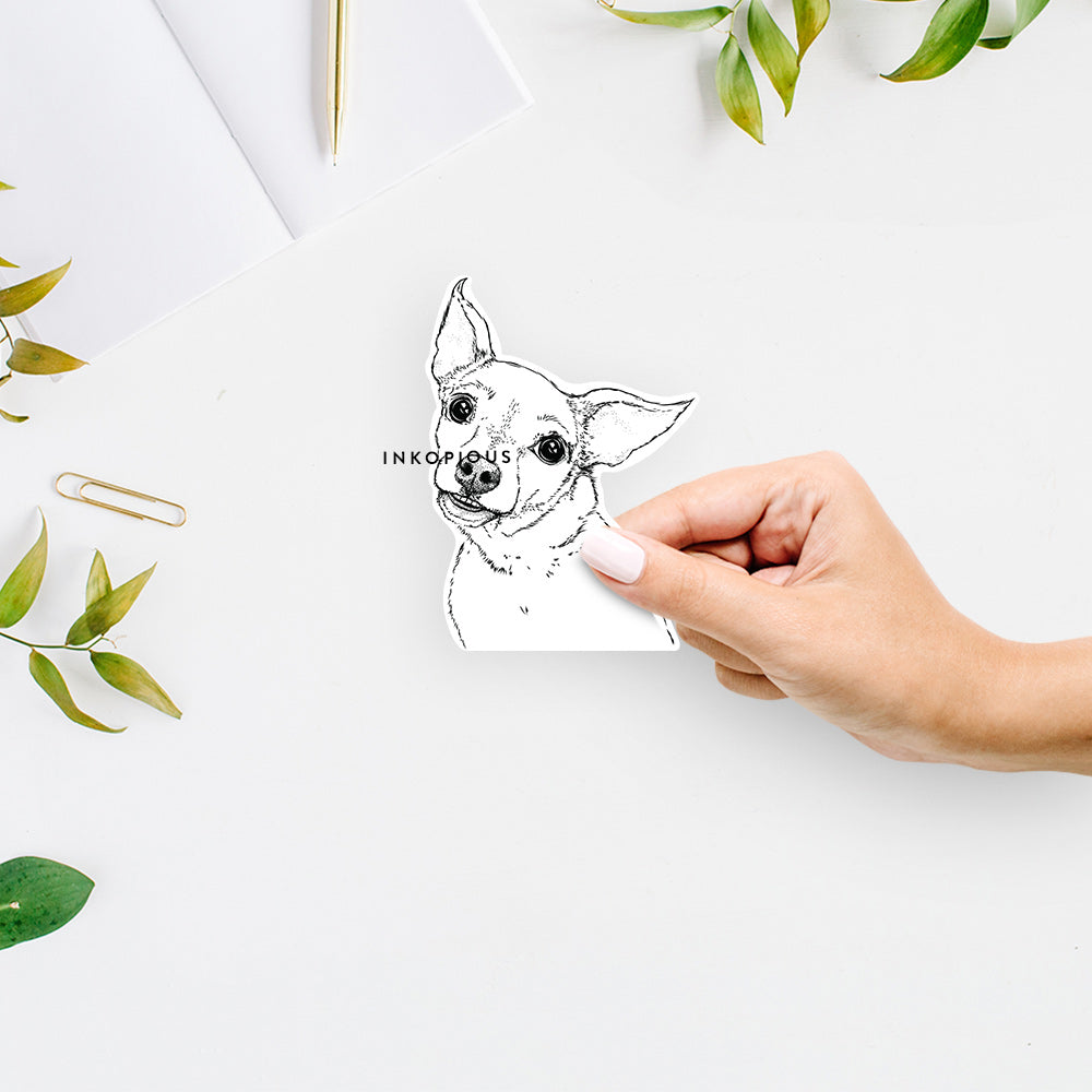 Hand-drawn sketch of Lola the Chiweenie on a decal sticker