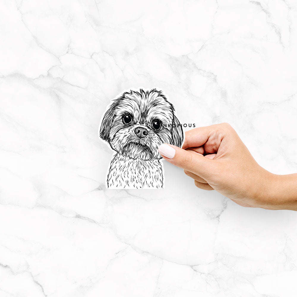 Hand-drawn sketch of Lucy the Shorkie on a Lucy Shorkie decal sticker