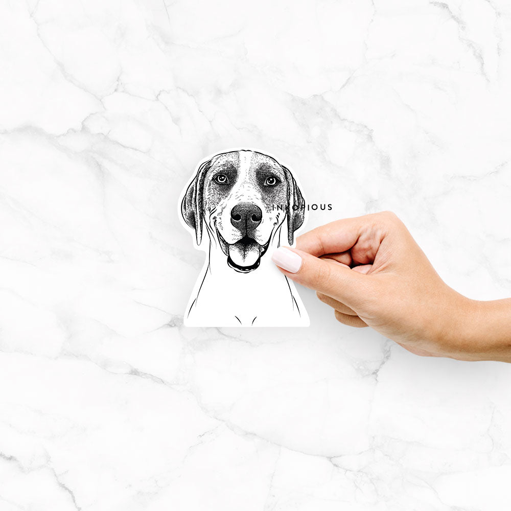 Hand-drawn sketch of Maggie the Treeing Walker Coonhound on a Maggie Treeing decal sticker