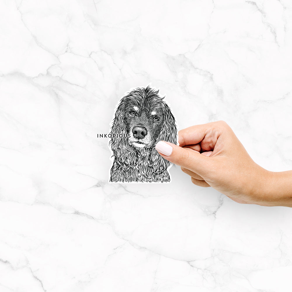 Hand-drawn sketch of Marley Boy the American Cocker Spaniel on a decal sticker