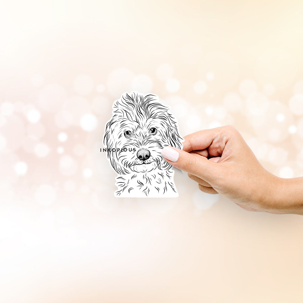Hand-drawn sketch of Mason the Cavapoo on a decal sticker