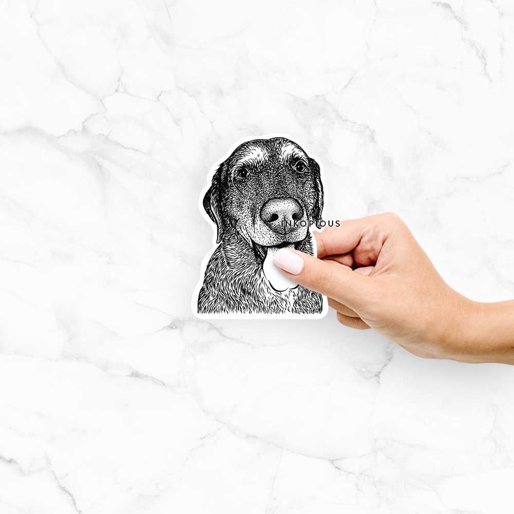 Hand-drawn sketch of Max the Labrador Retriever on a Max Lab decal sticker