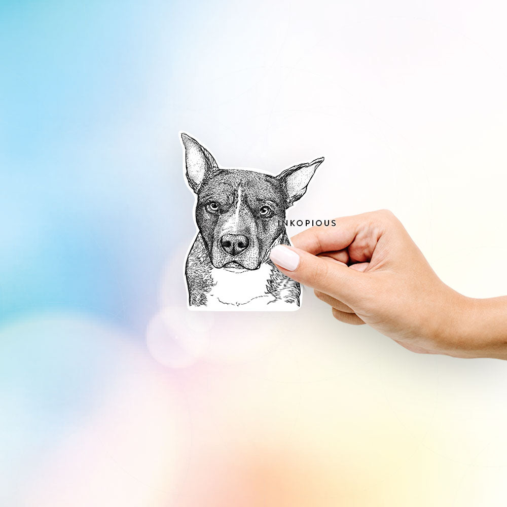 Hand-drawn sketch of Mercy the Pitbull on a decal sticker