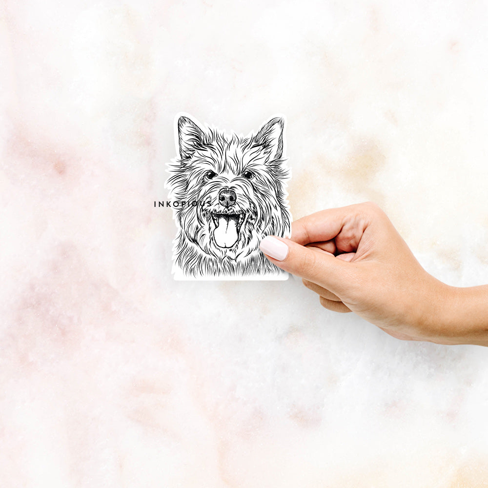 Hand-drawn sketch of Middy the Australian Terrier on a decal sticker