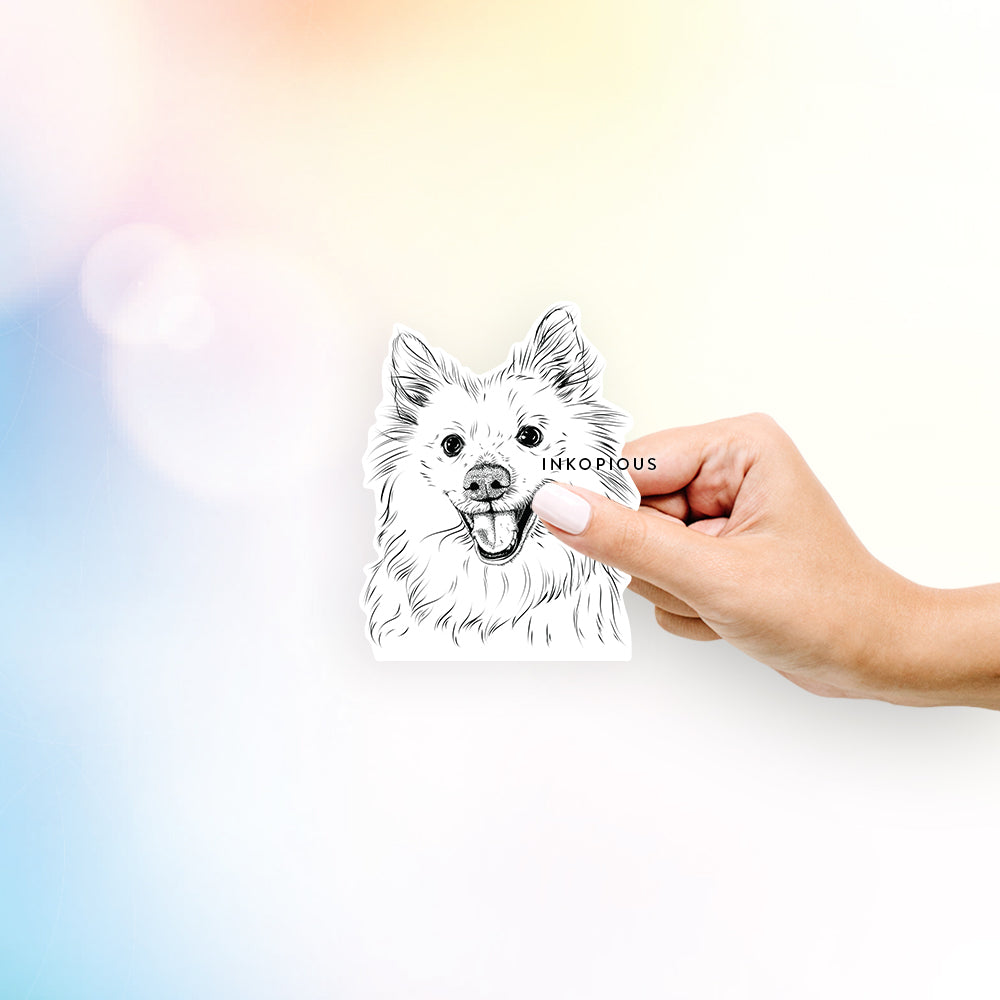 Hand-drawn sketch of Miki the American Eskimo on a decal sticker