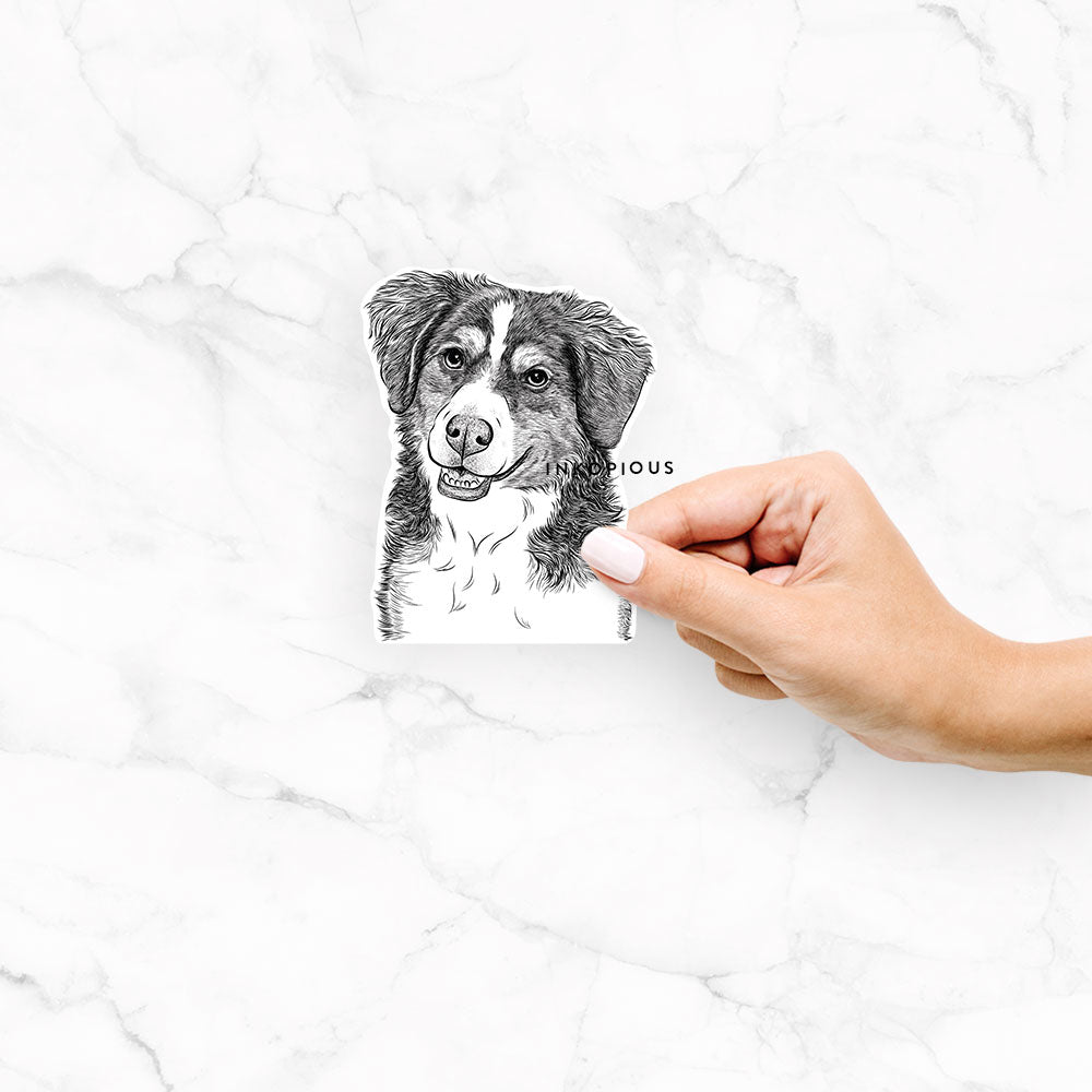 Hand-drawn sketch of Molly the Miniature Bernedoodle on a Molly Bernedoodle decal sticker