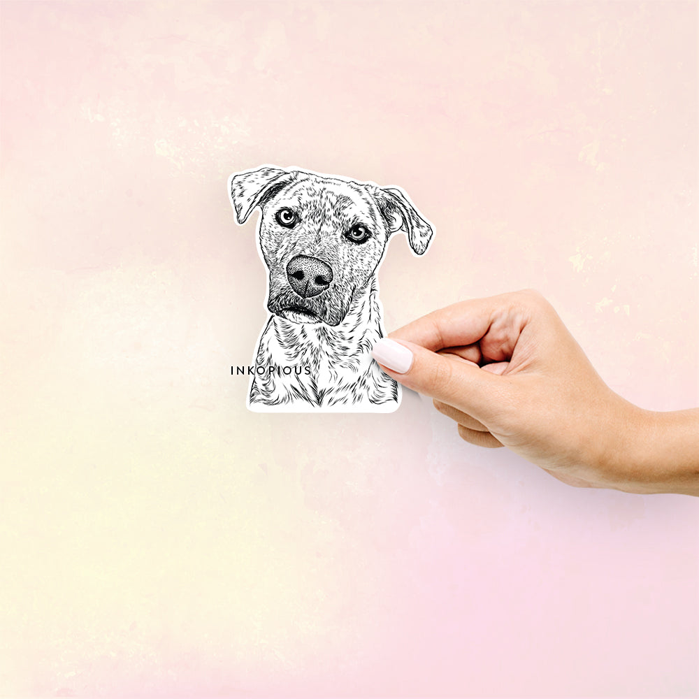 Hand-drawn sketch of Monster Baby the Pitbull Mix on a Sticker decal sticker