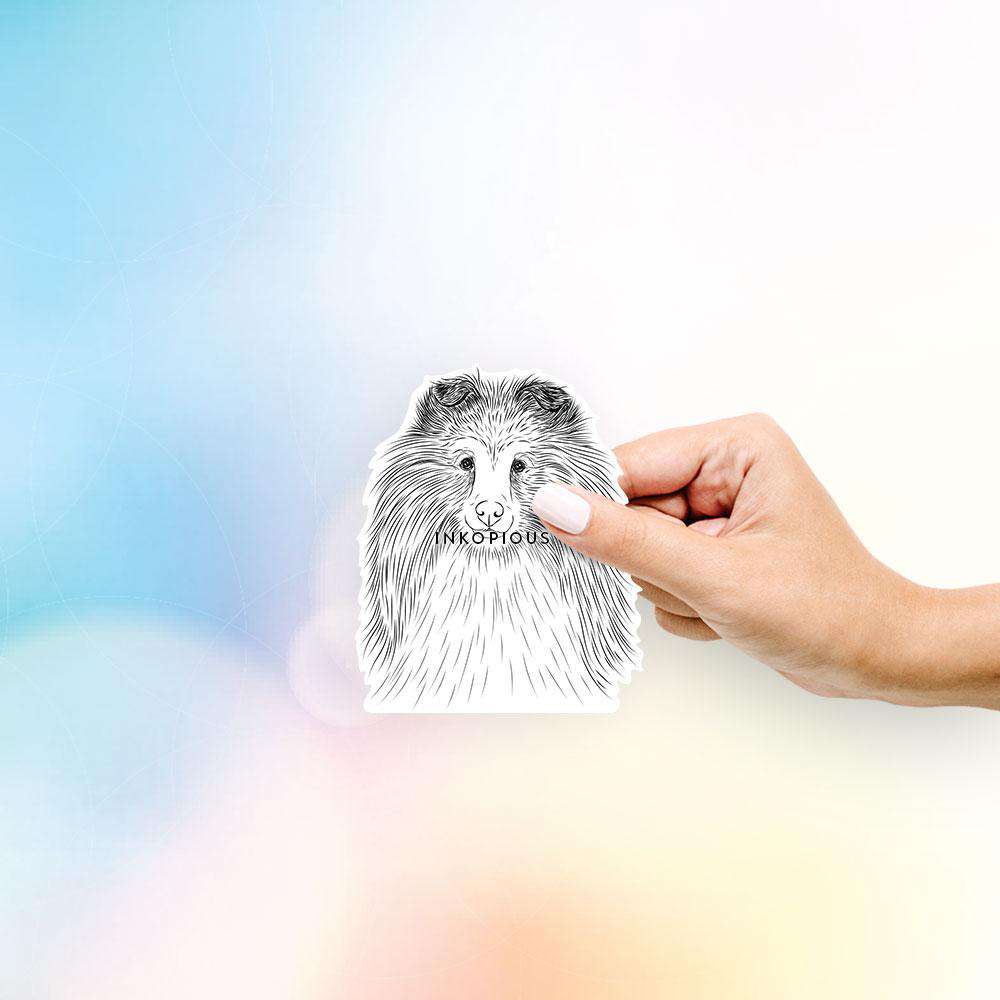 Hand-drawn sketch of Moxie the Shetland Sheepdog on a Sheltie decal sticker