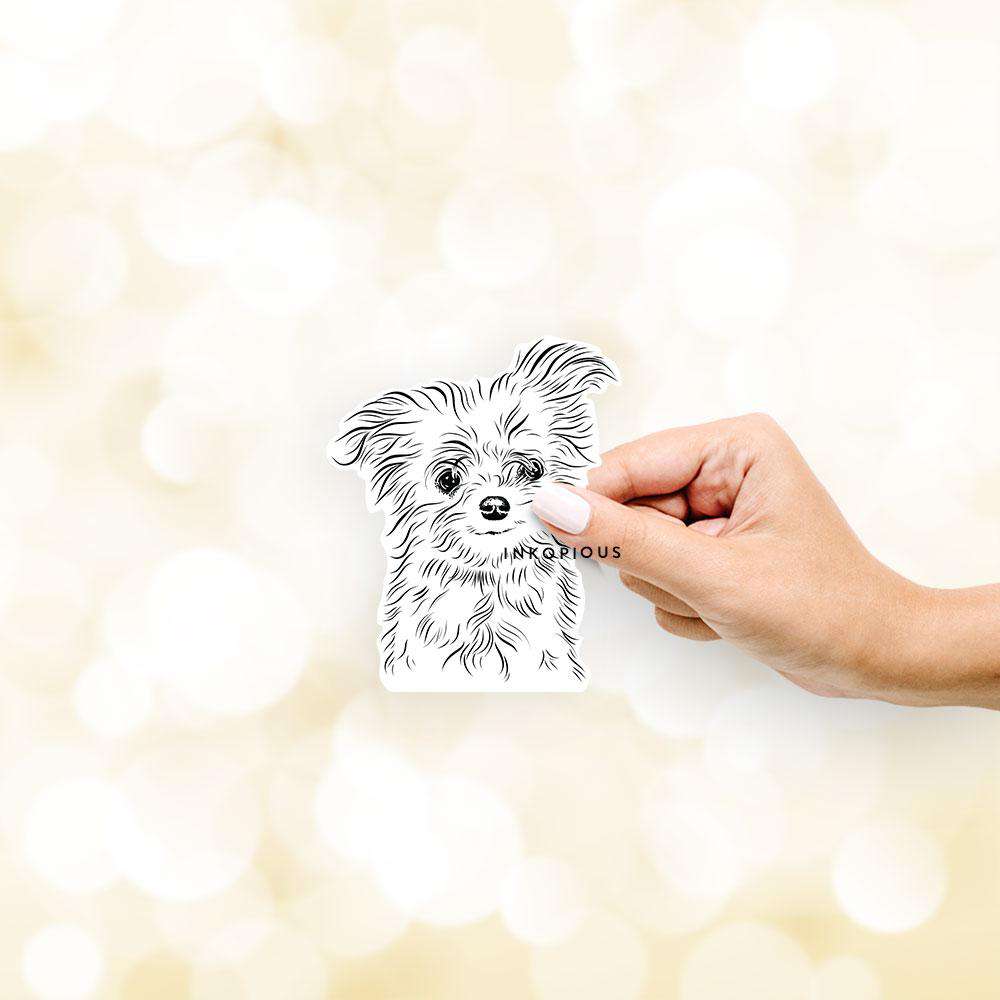 Hand-drawn sketch of Mr. Gucci the Maltese on a Mr Gucci decal sticker