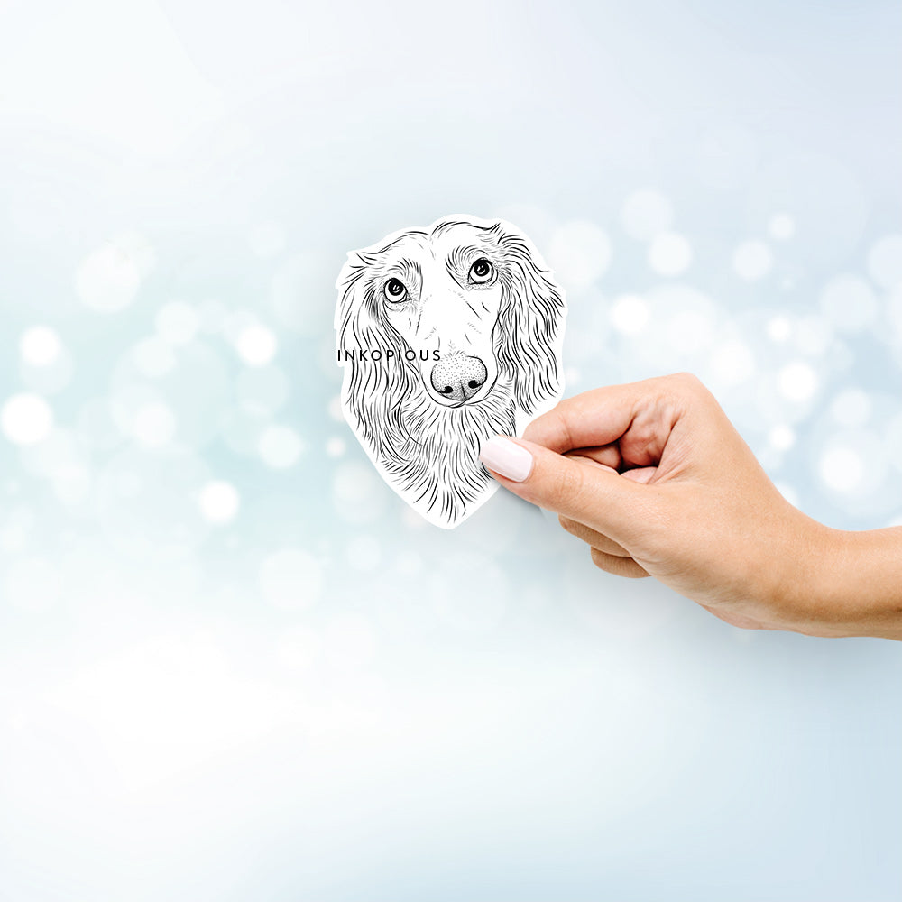 Hand-drawn sketch of Mr. Rusty the Longhaired Dachshund on a Mr Rusty decal sticker