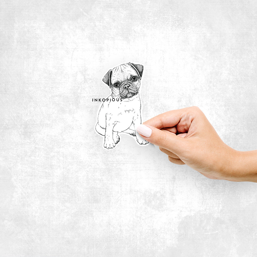 Hand-drawn sketch of Nelson the Pug on a decal sticker