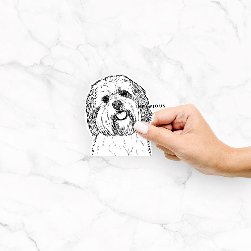 Hand-drawn sketch of Nikka the Lowchen on a Nikka Lowchen decal sticker