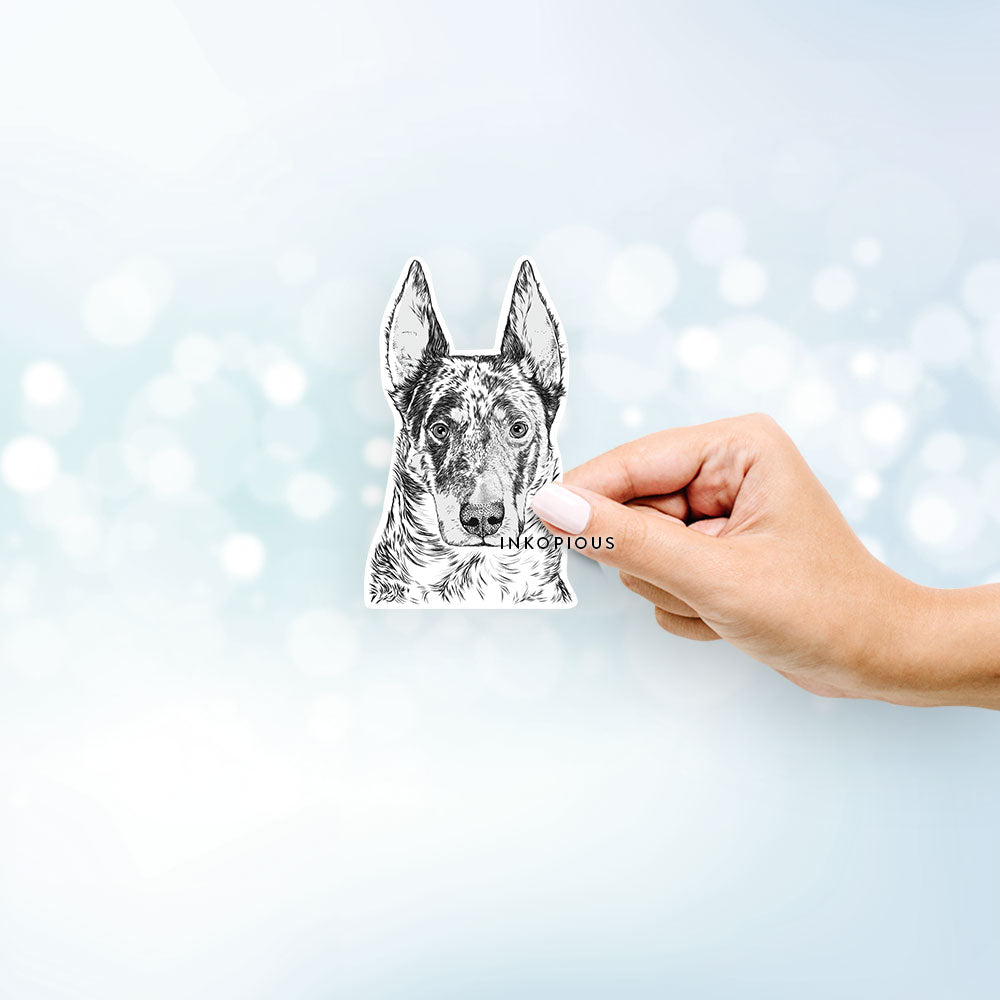 Hand-drawn sketch of Nori the Beauceron on a decal sticker