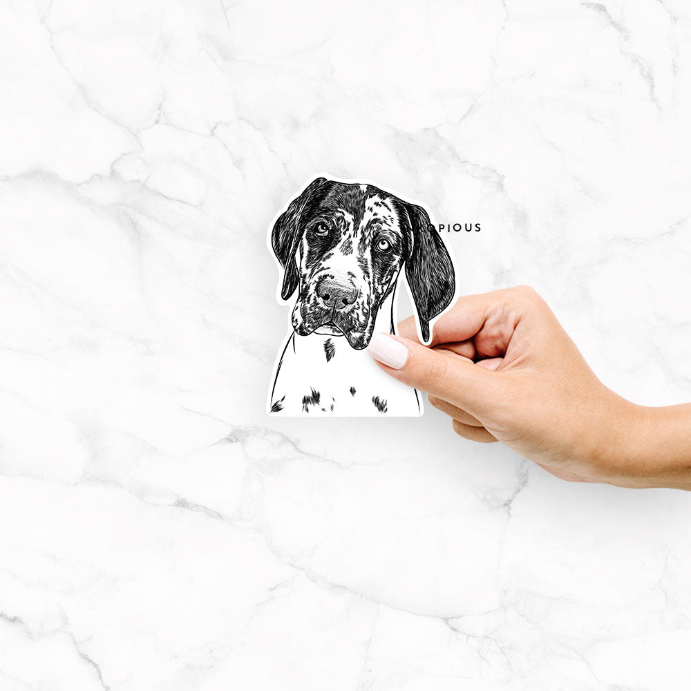 Hand-drawn sketch of Nyx the Great Dane on a Nyx Great Dane decal sticker