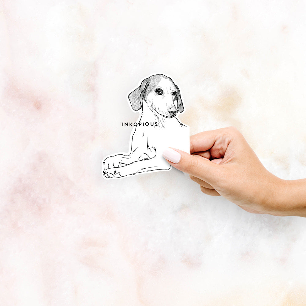 Hand-drawn sketch of Opie the Foxhound on a decal sticker