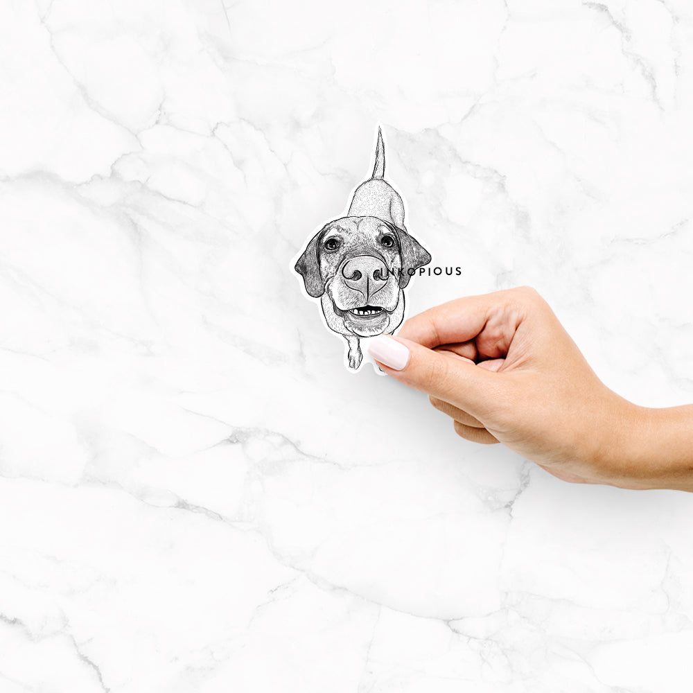 Hand-drawn sketch of Oquirrh the Vizsla on an Oquirrh Vizsla decal sticker