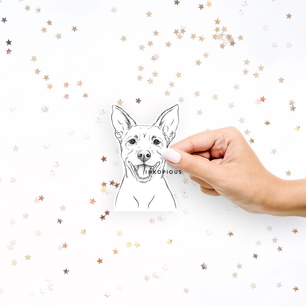 Hand-drawn sketch of Orange the Carolina Dog on a decal sticker