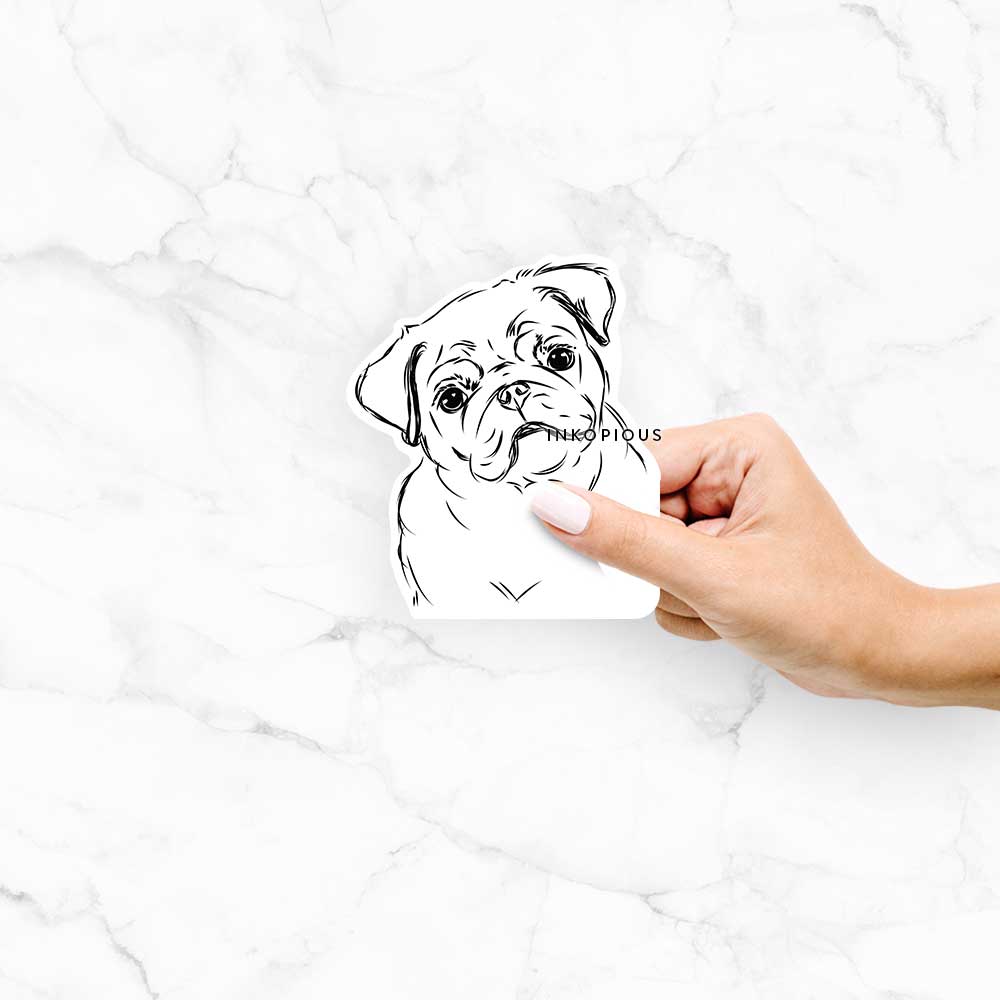 Hand-drawn sketch of Otis the Pug on a decal sticker