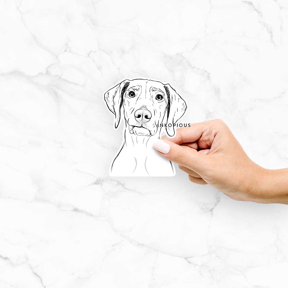 Hand-drawn sketch of Pawley the Vizsla on a Pawley Vizsla decal sticker