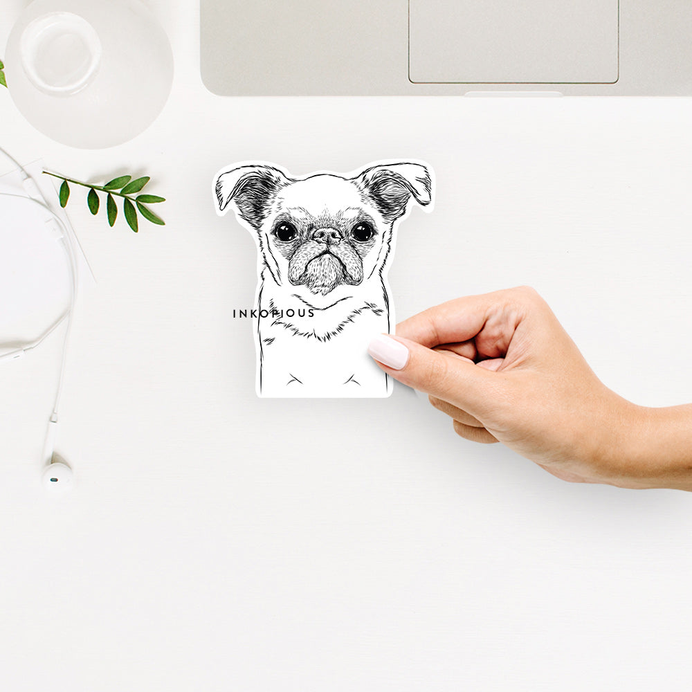 Hand-drawn sketch of Petit Penny the Brussels Griffon on a decal sticker