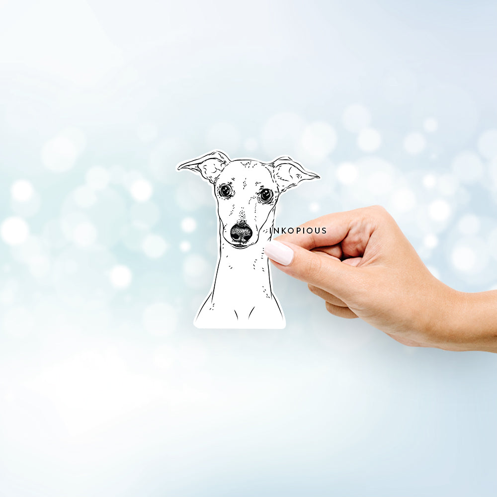 Hand-drawn sketch of Pip the Italian Greyhound on a decal sticker
