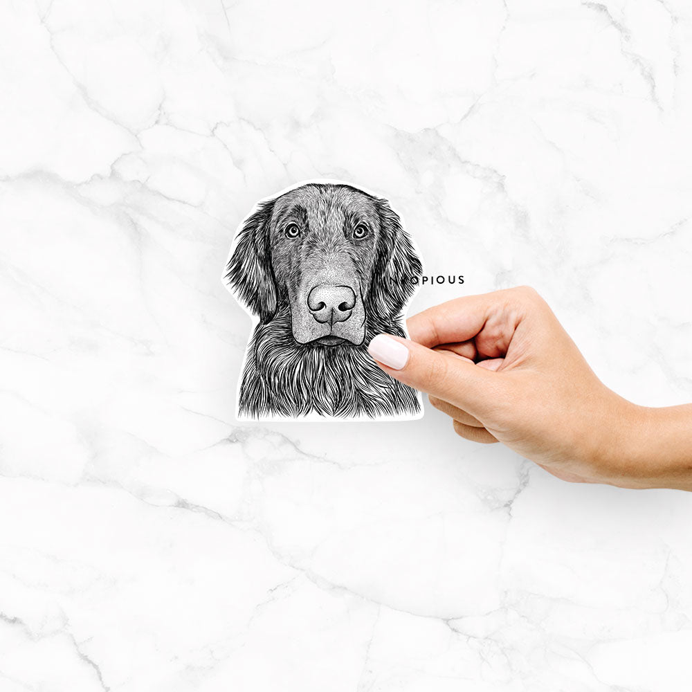 Hand-drawn sketch of Pippin the Flat Coated Retriever on a Pippin FCR decal sticker