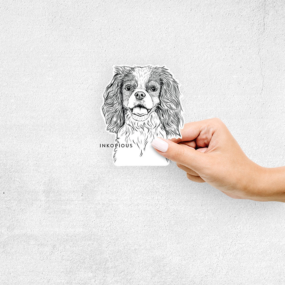 Hand-drawn sketch of Poppy the Cavalier King Charles Spaniel on a Sticker decal sticker