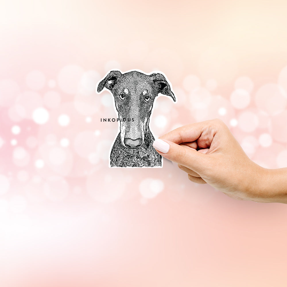 Hand-drawn sketch of Princess Fiona the Doberman Pinscher on a decal sticker