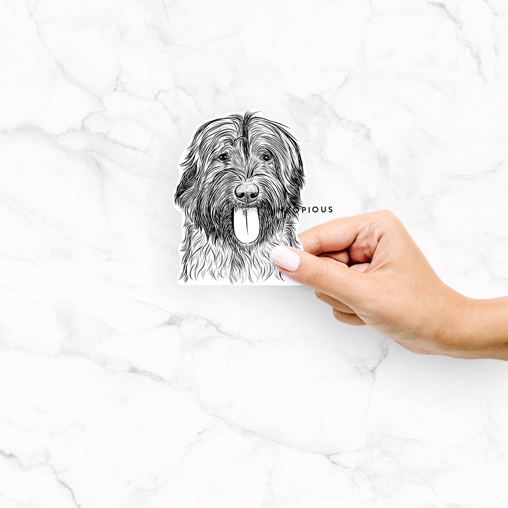 Hand-drawn sketch of Puig the Catalan Sheepdog on a Puig Catalan Sheepdog decal sticker