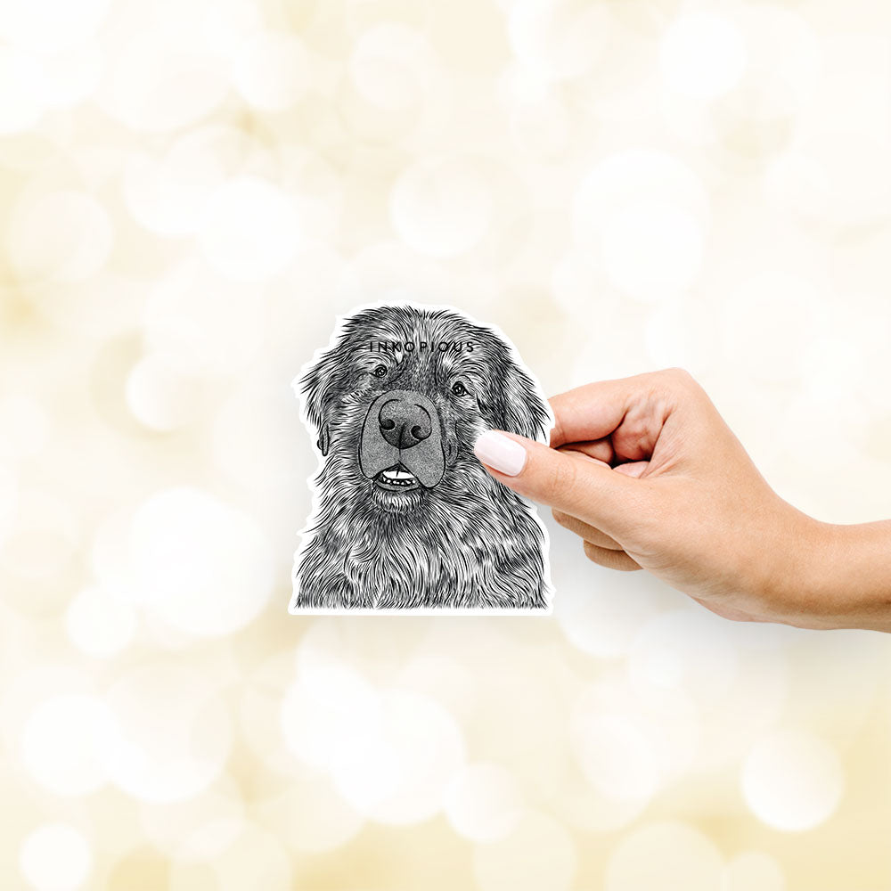 Hand-drawn sketch of Ralph the Leonberger on a decal sticker