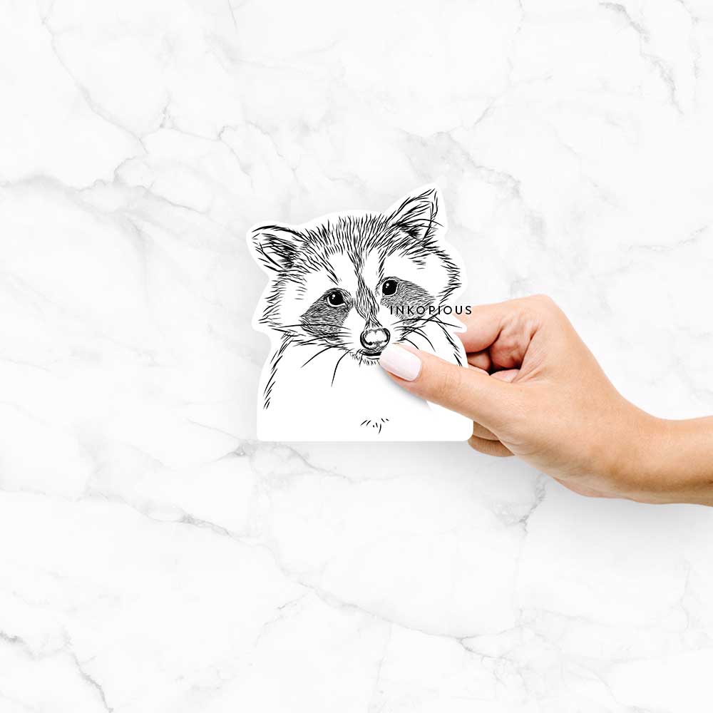 Hand-drawn sketch of Randy the Raccoon on a decal sticker